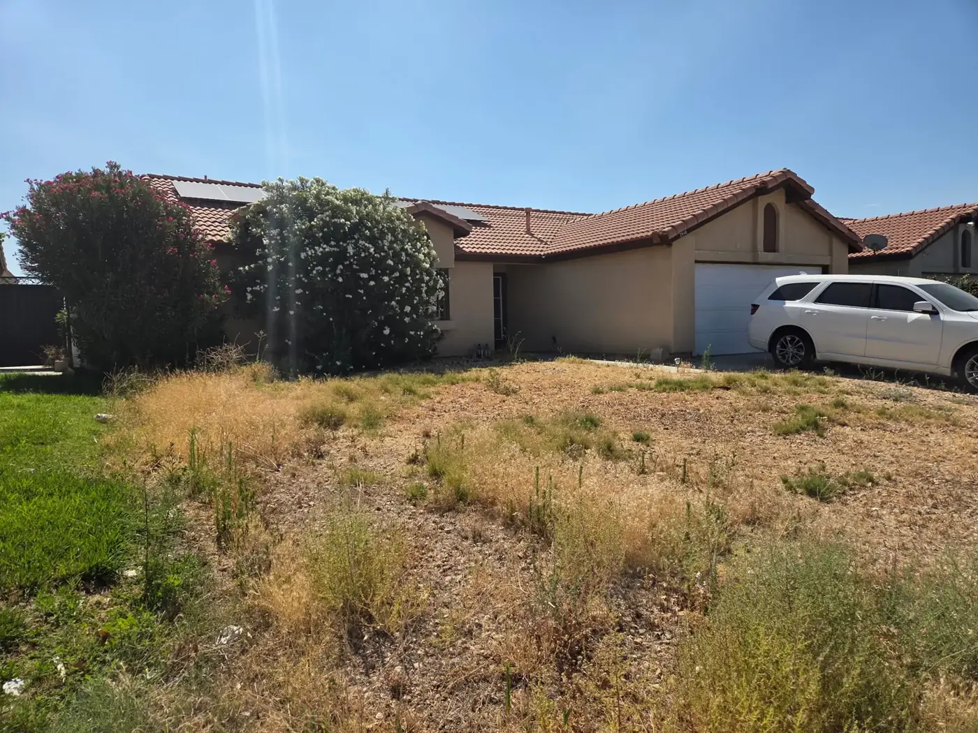 Front yard before, street view: overgrown weeds and dead brush